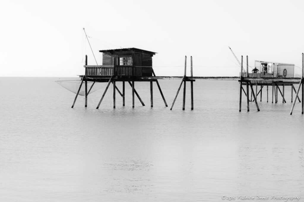 Nikon D70 | - Baie d'Yves - Les Carrelets - Observation