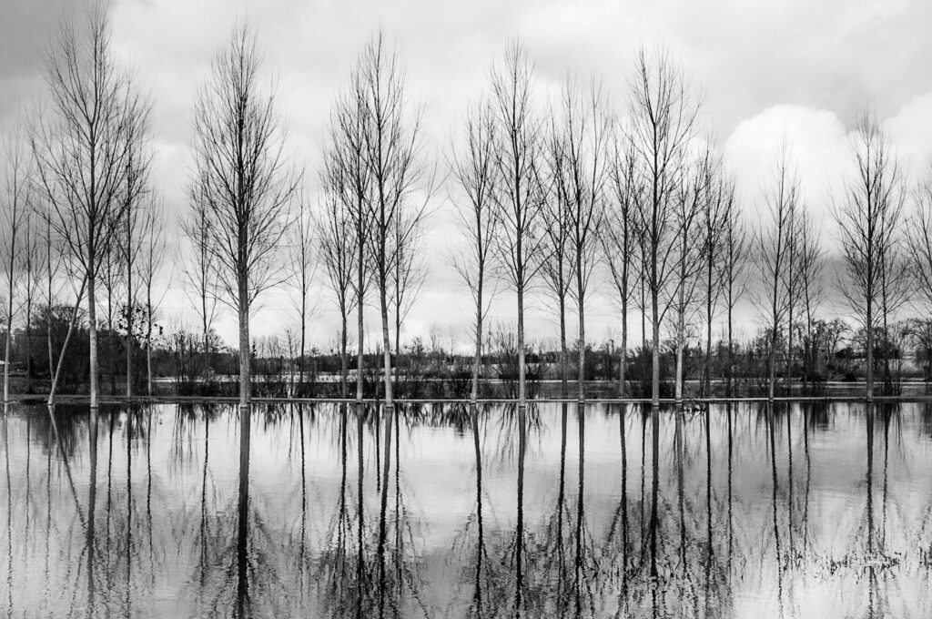 Série - Flou Artistique FujifilmX100-Tonnay-Boutonne-Reflets dans le débordement de la Boutonne