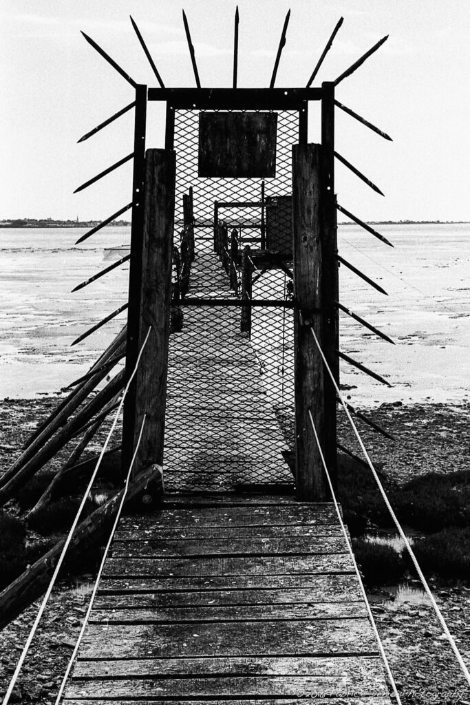 Série - Portes anciennes Canon FTB | Baie d'Yves - Une entrée qui ne manque pas de piquants
